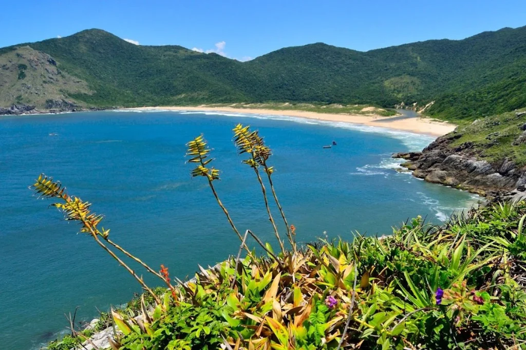 opções de praia e hotel em florianopolis