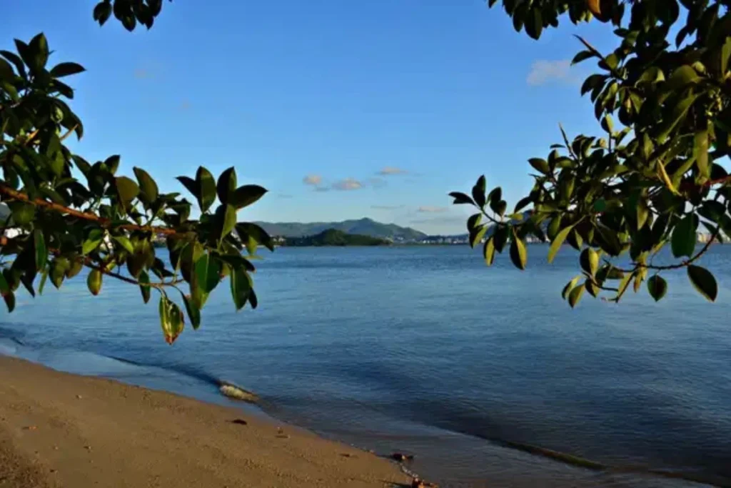 cacupé praias vizinhas de jurerê
