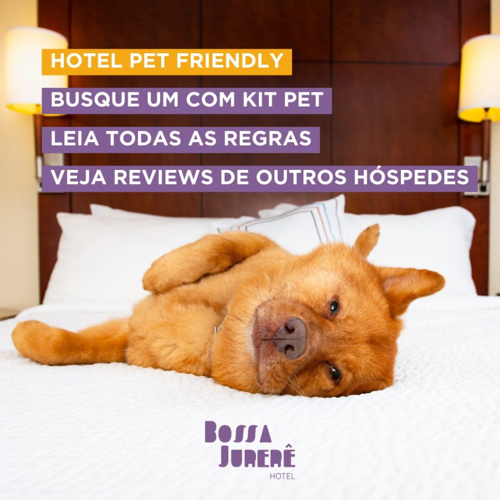 dicas para escolher um hotel pet friendly