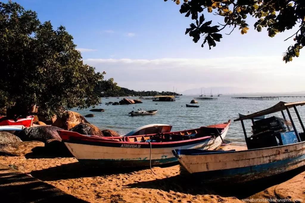Praias de Florianópolis: conheça 20 praias incríveis
